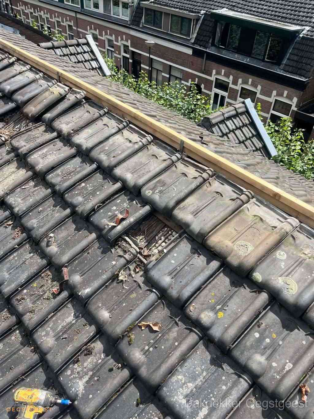 Dakonderhoud Oegstgeest Dakonderhoud Oegstgeest